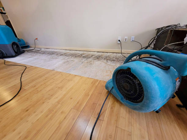 Professional Basement Flood Cleanup technician working in Dundee, OR